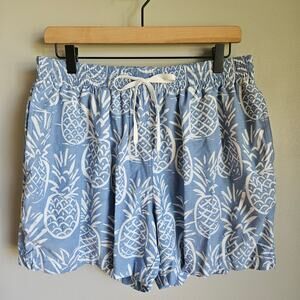 Chubbies Swim Trunks Mens XL Blue White Pineapple Print 5" Inseam Brief Liner